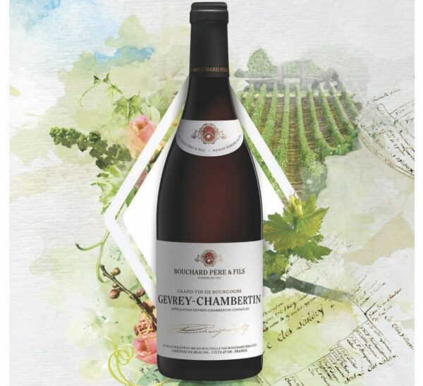 Bourgogne Cote Chalonnaise 2021 - Vignerons de Buxy - 37,5 cl